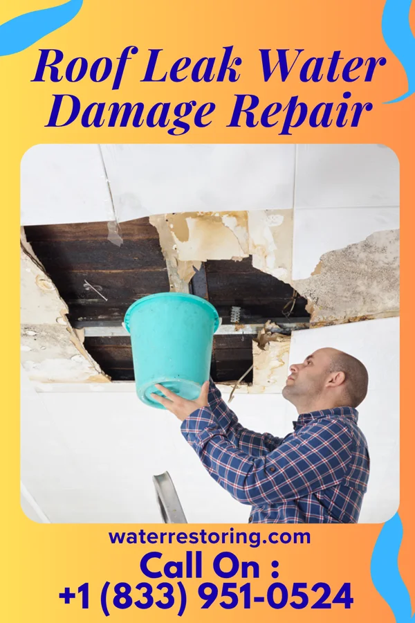 Roof Leak Water Damage Repair in Cove, UT